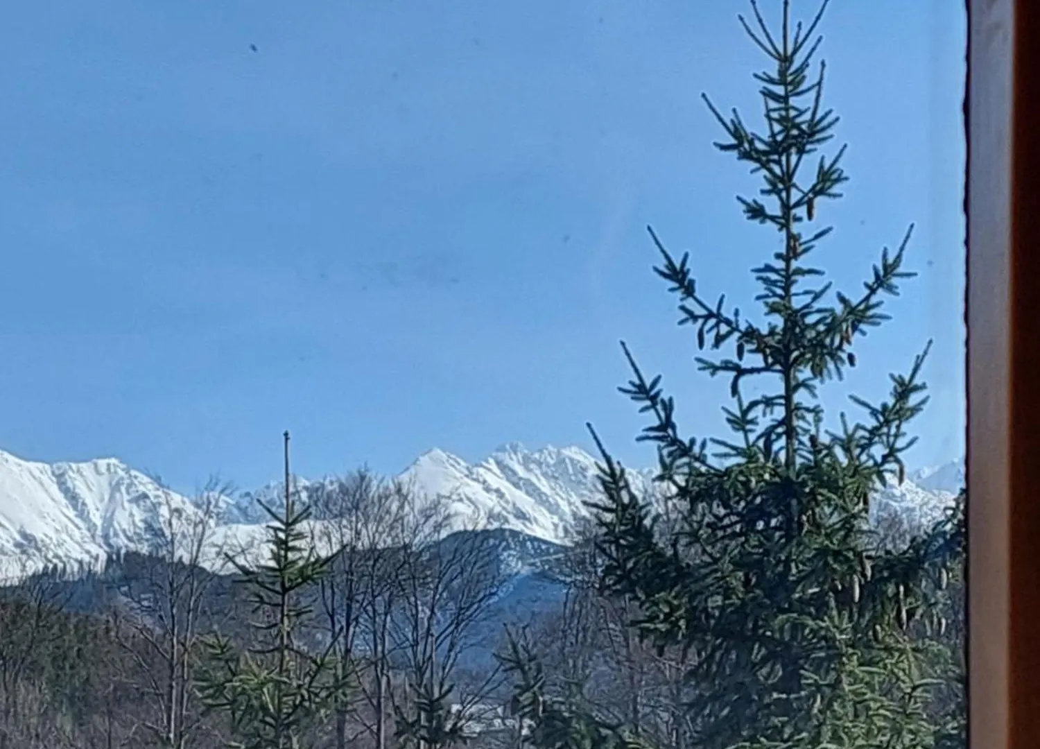 Pokoje Goscinne Brzozowa 14 Zakopane Poland