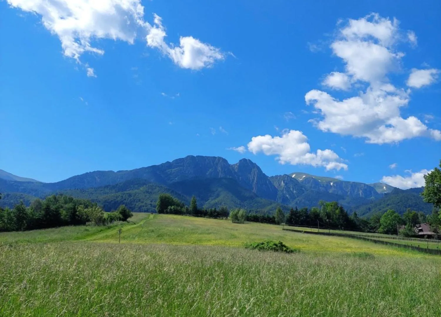 Pokoje Goscinne Brzozowa 14 Zakopane